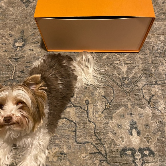 COPY - BRAND NEW Authentic Louis Vuitton XXL Luggage Box - Picture 9 of 16